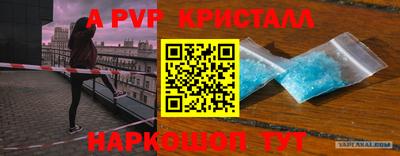 индика Гусев