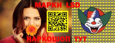 индика Гусев