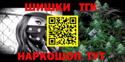 индика Гусев