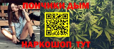 индика Гусев