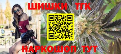 индика Гусев