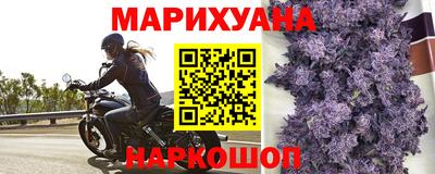 индика Гусев